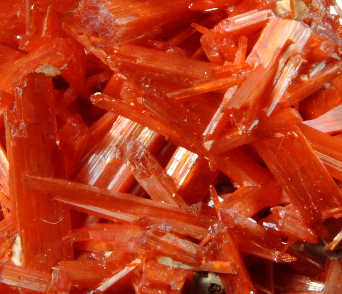 Crocoite from Dundas, Tasmania, Australia