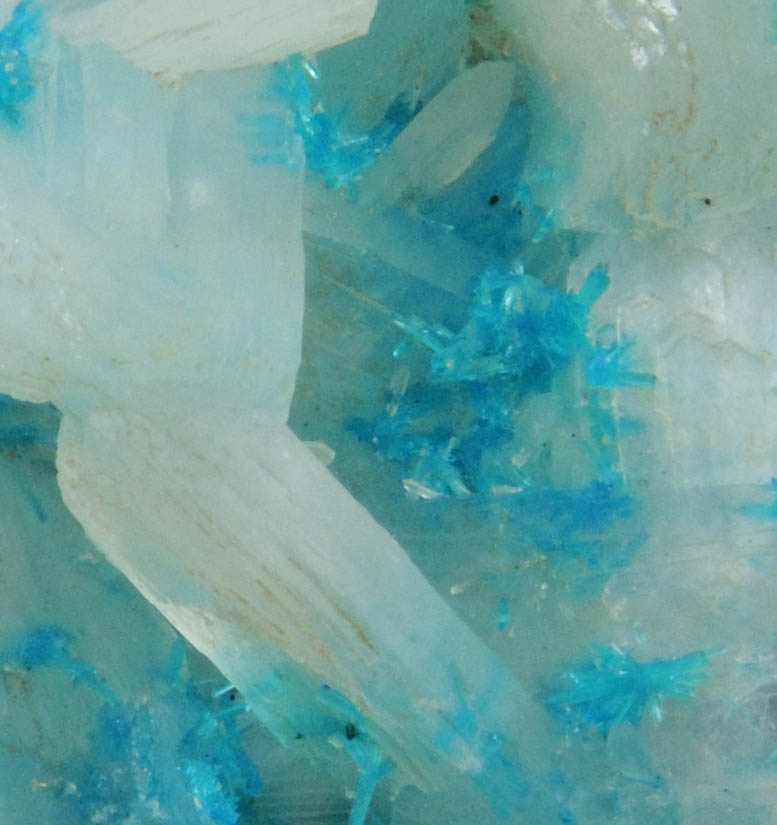 Cavansite on Stilbite-Ca from Wagholi Quarry, Maharashtra, India