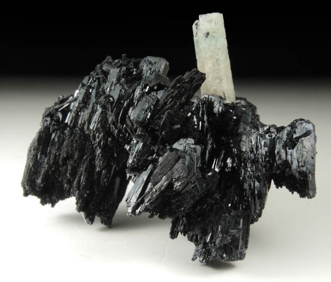 Schorl Tourmaline with Beryl from Erongo Mountains, 20 km north of Usakos, Damaraland, Namibia