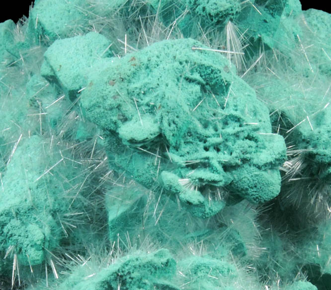 Gypsum on Malachite-Chrysocolla pseudomorphs from Copper Queen Mine, Bisbee, Warren District, Cochise County, Arizona