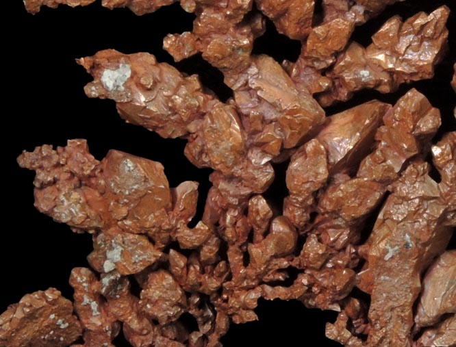 Copper (crystallized) from Itauz Mine, Karaganda Oblast', Kazakhstan