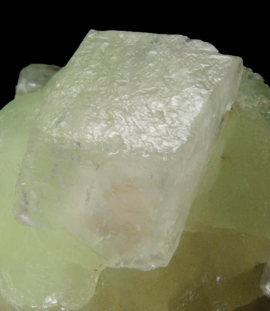 Calcite on Prehnite from Millington Quarry, Bernards Township, Somerset County, New Jersey