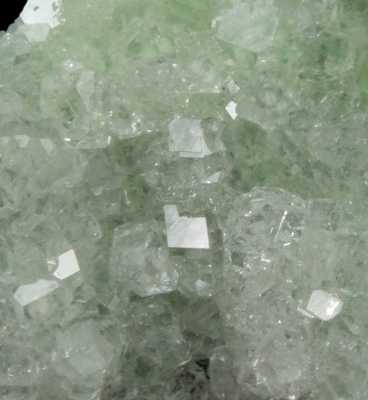 Grossular Garnet with Pectolite from Jeffrey Mine, Asbestos, Qubec, Canada