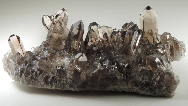 Quartz var. Smoky Quartz from Smoky Bear Quartz Claim, Sierra Blanca, White Mountain Wilderness, Lincoln County, New Mexico