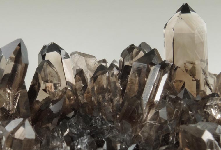 Quartz var. Smoky Quartz from Smoky Bear Quartz Claim, Sierra Blanca, White Mountain Wilderness, Lincoln County, New Mexico