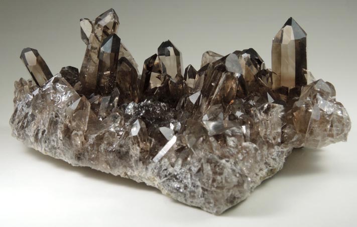 Quartz var. Smoky Quartz from Smoky Bear Quartz Claim, Sierra Blanca, White Mountain Wilderness, Lincoln County, New Mexico