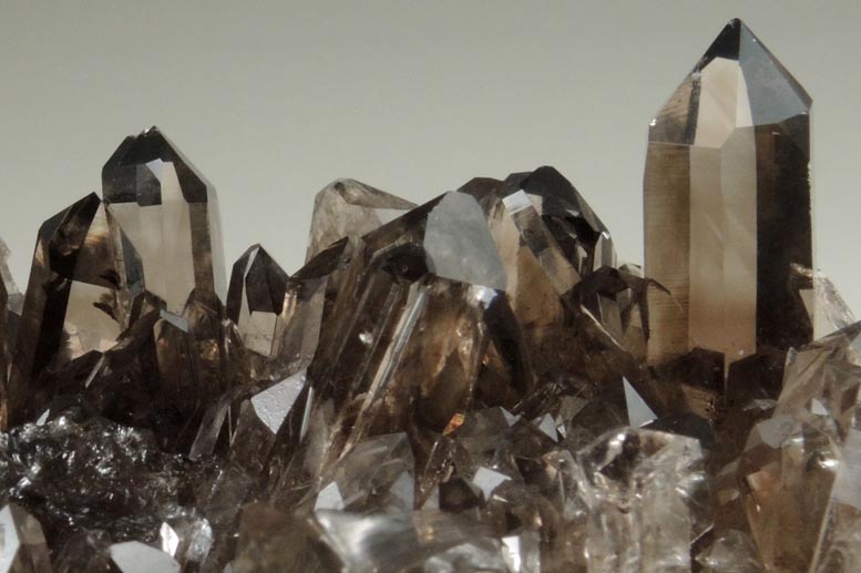 Quartz var. Smoky Quartz from Smoky Bear Quartz Claim, Sierra Blanca, White Mountain Wilderness, Lincoln County, New Mexico