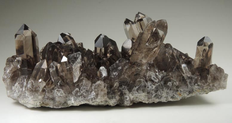 Quartz var. Smoky Quartz from Smoky Bear Quartz Claim, Sierra Blanca, White Mountain Wilderness, Lincoln County, New Mexico