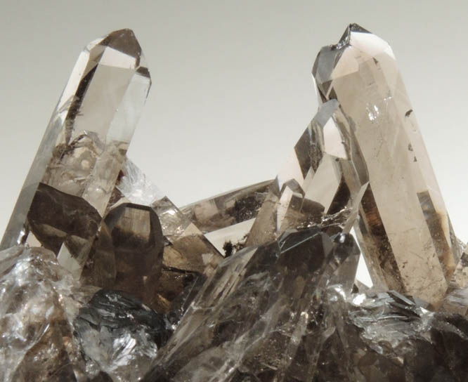 Quartz var. Smoky Quartz from Smoky Bear Quartz Claim, Sierra Blanca, White Mountain Wilderness, Lincoln County, New Mexico