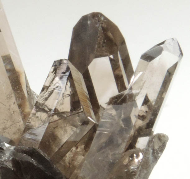 Quartz var. Smoky Quartz from Smoky Bear Quartz Claim, Sierra Blanca, White Mountain Wilderness, Lincoln County, New Mexico