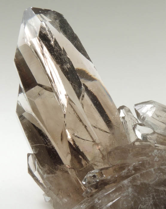 Quartz var. Smoky Quartz (Dauphin Law Twins) from Smoky Bear Quartz Claim, Sierra Blanca, White Mountain Wilderness, Lincoln County, New Mexico