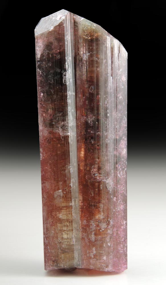 Elbaite var. Rubellite Tourmaline from Alto Ligonha District, Zambezia, Mozambique