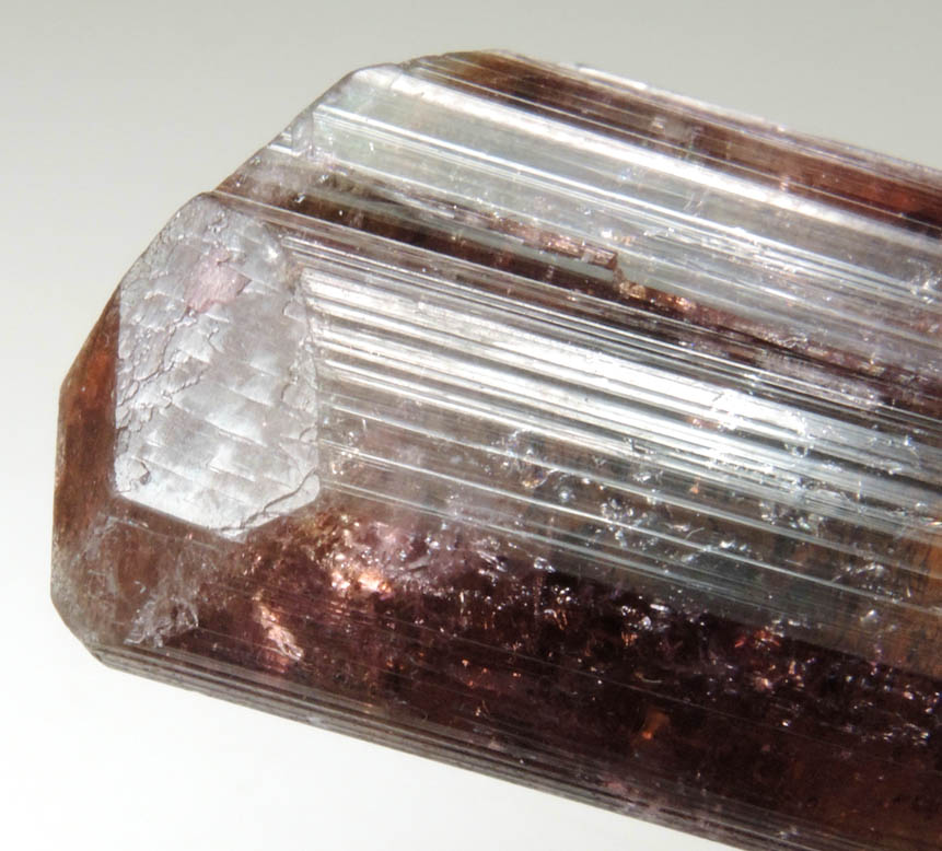 Elbaite var. Rubellite Tourmaline from Alto Ligonha District, Zambezia, Mozambique