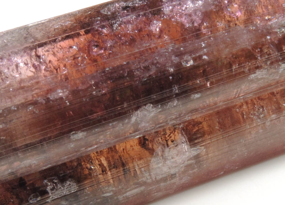 Elbaite var. Rubellite Tourmaline from Alto Ligonha District, Zambezia, Mozambique