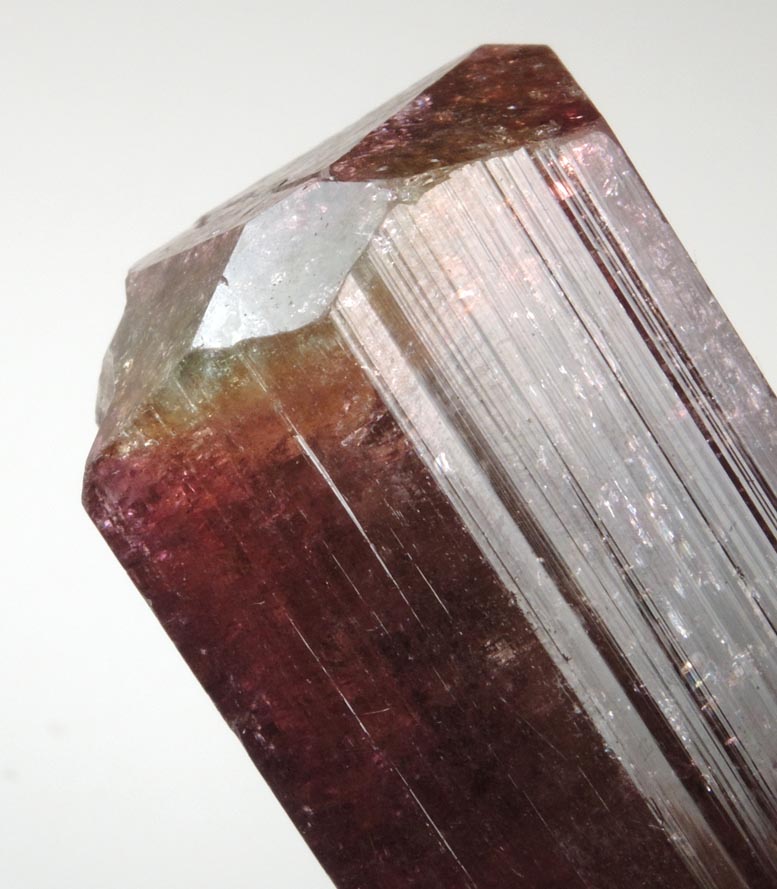 Elbaite var. Rubellite Tourmaline from Alto Ligonha District, Zambezia, Mozambique