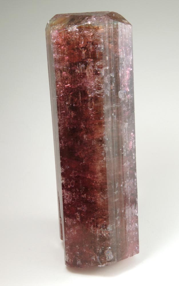 Elbaite var. Rubellite Tourmaline from Alto Ligonha District, Zambezia, Mozambique