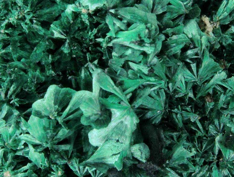 Malachite from Shilu Mine, Yangchun, Guandong, China