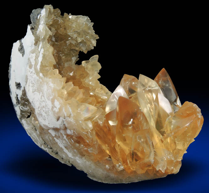 Calcite in fossilized clam from Ruck's Pit Quarry, Fort Drum, Okeechobee County, Florida