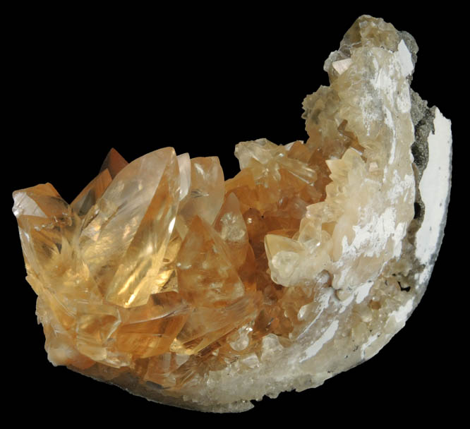 Calcite in fossilized clam from Ruck's Pit Quarry, Fort Drum, Okeechobee County, Florida