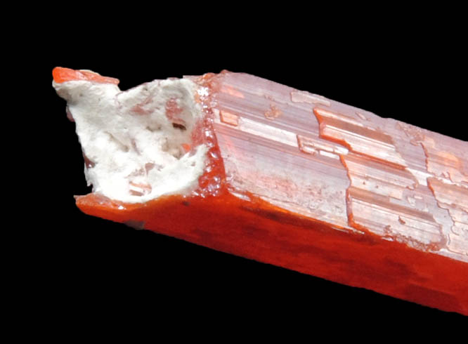 Crocoite from Dundas, Tasmania, Australia