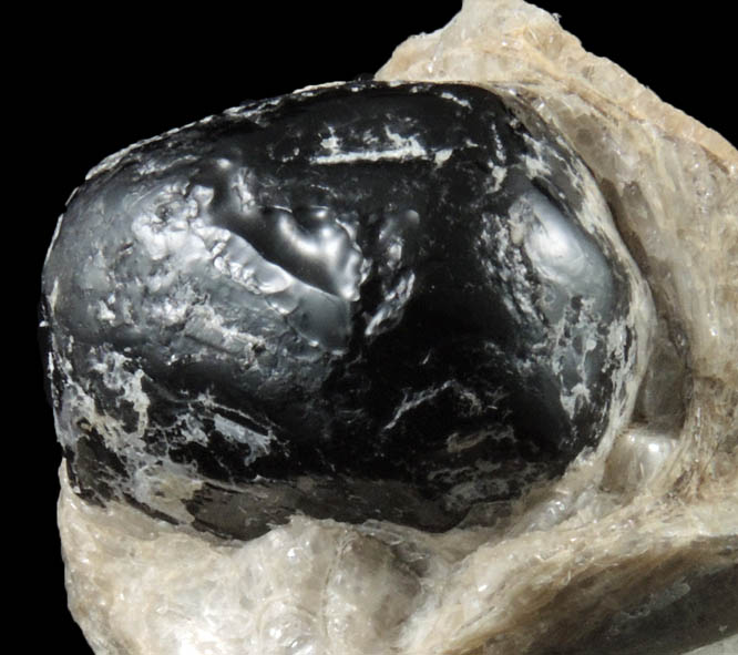 Obsidian var. Apache Tear from Superior District, Pinal County, Arizona