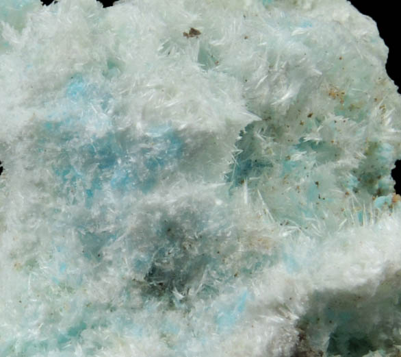 Halotrichite from Flux Mine, Harshaw District, Patagonia Mountains, Santa Cruz County, Arizona