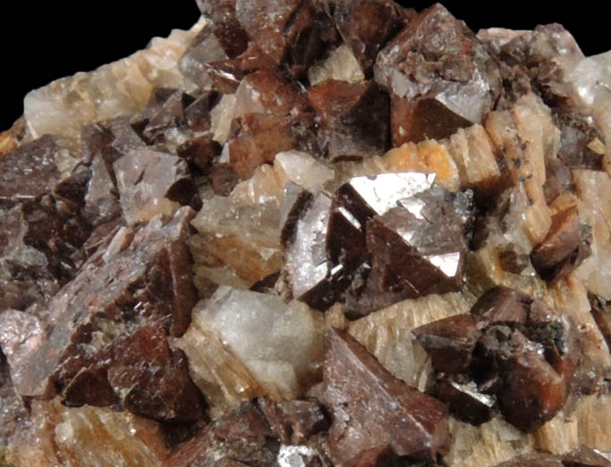 Zircon from Hurricane Mountain, east of Intervale, Carroll County, New Hampshire