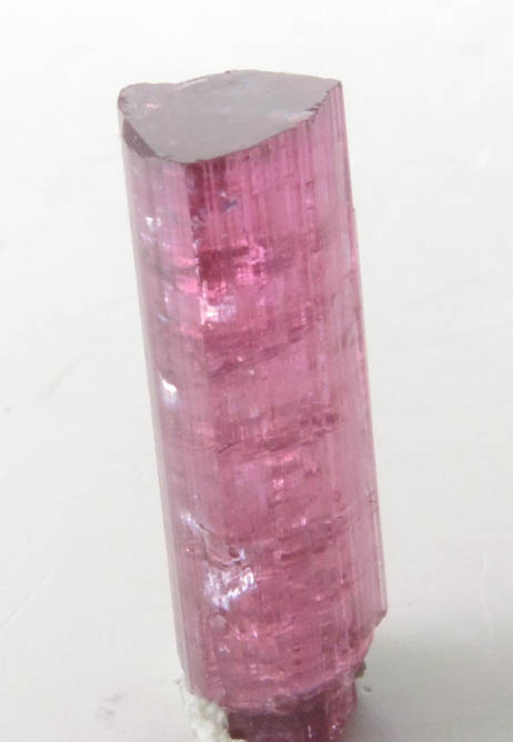 Elbaite var. Rubellite Tourmaline from Cruzeiro Mine, Santa Maria do Suacui, Minas Gerais, Brazil