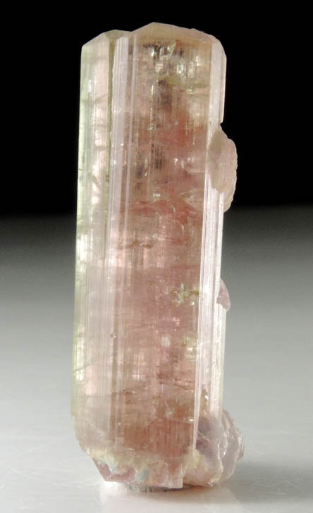 Elbaite var. Rubellite Tourmaline with Lepidolite from Himalaya Mine, Mesa Grande District, San Diego County, California