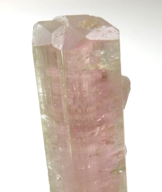 Elbaite var. Rubellite Tourmaline with Lepidolite from Himalaya Mine, Mesa Grande District, San Diego County, California