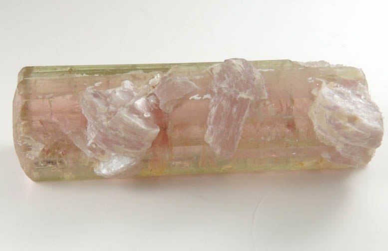Elbaite var. Rubellite Tourmaline with Lepidolite from Himalaya Mine, Mesa Grande District, San Diego County, California