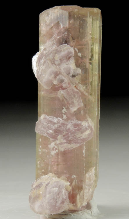 Elbaite var. Rubellite Tourmaline with Lepidolite from Himalaya Mine, Mesa Grande District, San Diego County, California