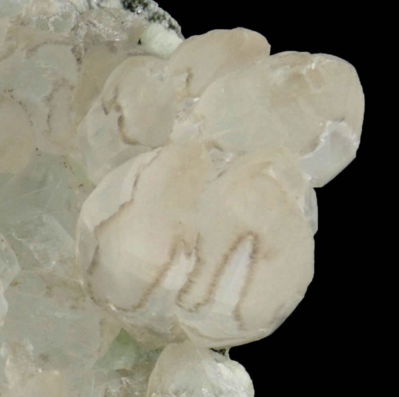 Calcite over Prehnite from Prospect Park Quarry, Prospect Park, Passaic County, New Jersey