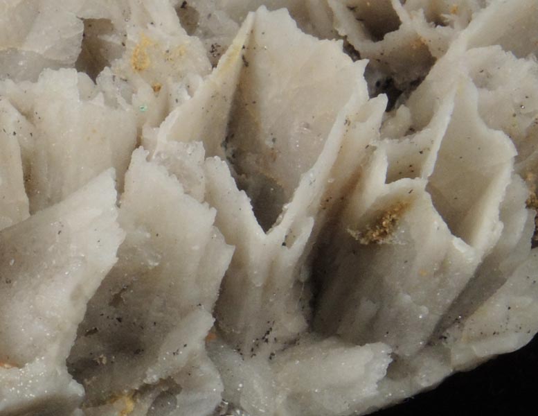 Quartz pseudomorphs after Anhydrite from Upper Montclair, Essex County, New Jersey