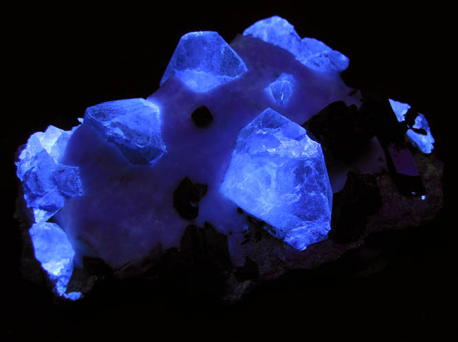 Benitoite, Neptunite, Natrolite from Benitoite Gem Mine, New Idria District, San Benito County, California (Type Locality for Benitoite)