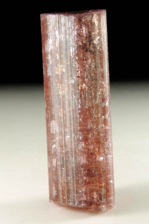 Elbaite var. Rubellite Tourmaline from Alto Ligonha District, Zambezia, Mozambique