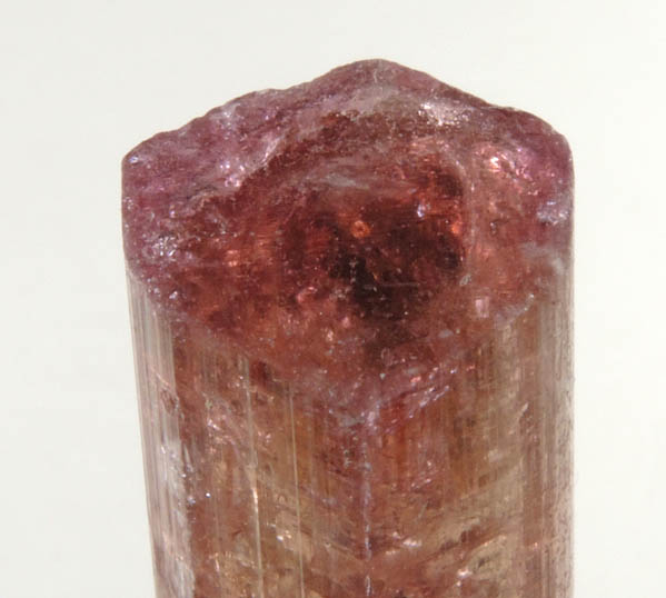 Elbaite var. Rubellite Tourmaline from Alto Ligonha District, Zambezia, Mozambique