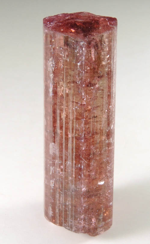 Elbaite var. Rubellite Tourmaline from Alto Ligonha District, Zambezia, Mozambique