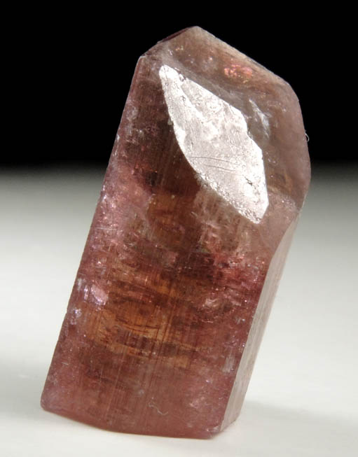 Elbaite var. Rubellite Tourmaline from Alto Ligonha District, Zambezia, Mozambique