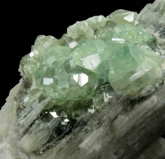 Andradite var. Demantoid Garnet on Pectolite from Mine Lac d'Amiante (LAB mine),  Saint-Joseph-de-Coleraine, Qubec, Canada