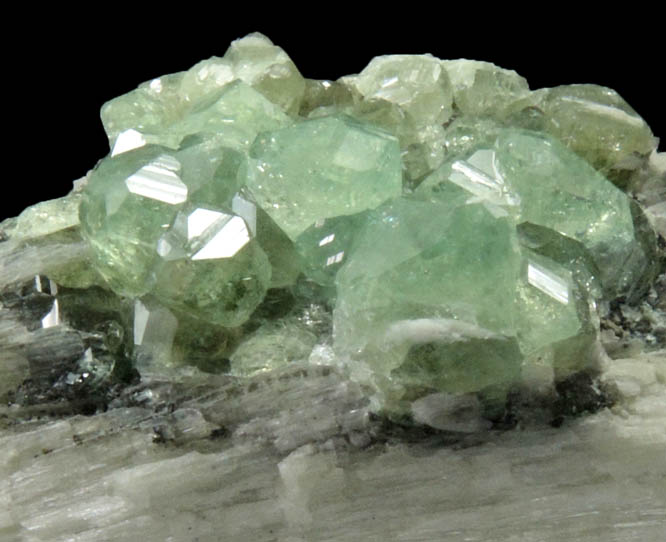 Andradite var. Demantoid Garnet on Pectolite from Mine Lac d'Amiante (LAB mine),  Saint-Joseph-de-Coleraine, Qubec, Canada