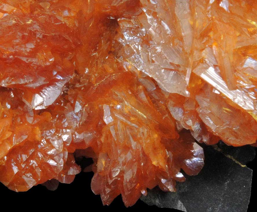 Orpiment from Twin Creeks Mine, Humboldt County, Nevada