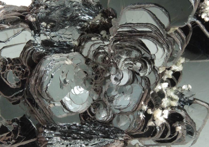 Hematite var. Iron Rose from Dom Bosco, near Ouro Preto, Minas Gerais, Brazil