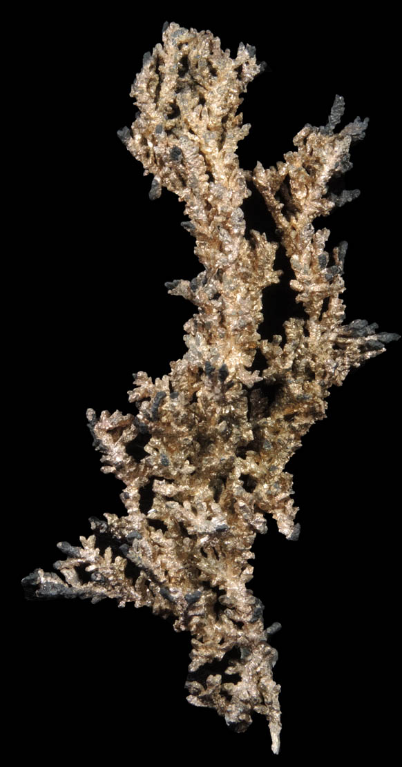 Silver from Andres del Rio District, Batopilas, Chihuahua, Mexico