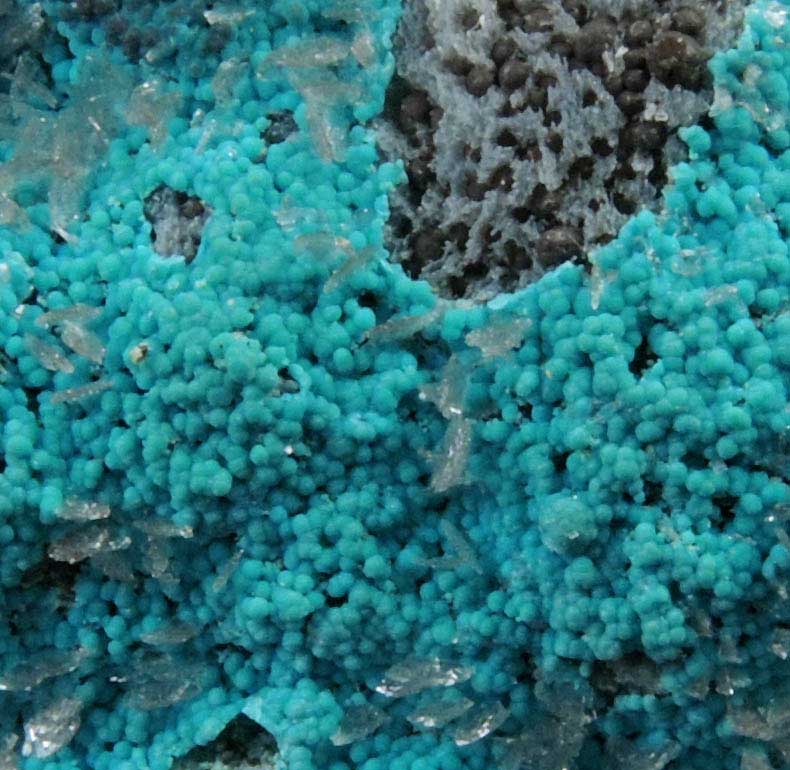 Rosasite on Hemimorphite from 79 Mine, Banner District, near Hayden, Gila County, Arizona