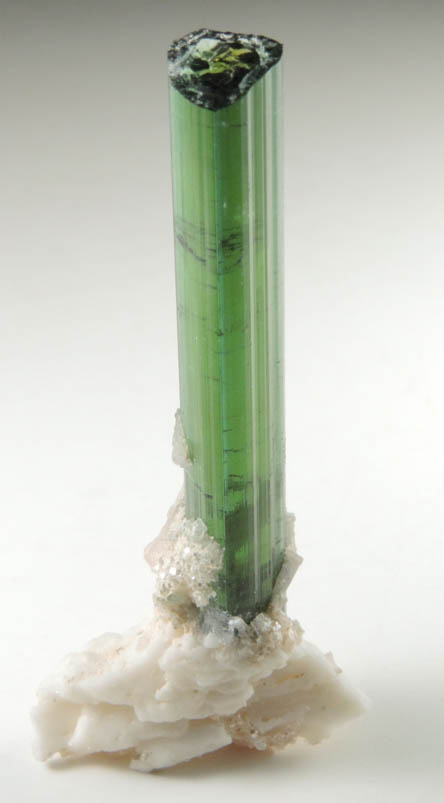 Elbaite Tourmaline from Minas Gerais, Brazil