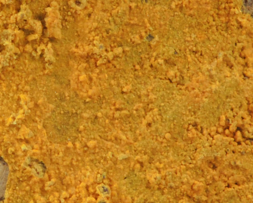 Schoderite and Metaschoderite from Van Nav Sand Claim, Gibellini District, Eureka County, Nevada (Type Locality for Schoderite and Metaschoderite)