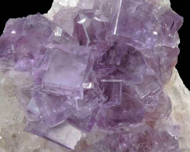 Fluorite on Quartz from Caravia-Berbes District, Asturias, Spain