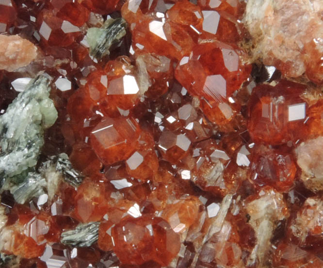 Grossular Garnet with Clinochlore from Val d'Ala, Piemonte, Italy