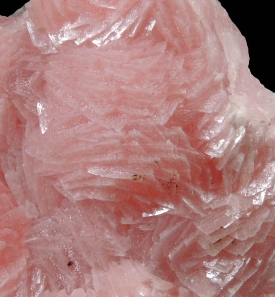 Rhodochrosite from N'Chwaning Mine, Kalahari Manganese Field, Northern Cape Province, South Africa